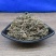 双肾草婆婆纳狗卵草双珠草无硫净货保正品批发零售冷背中药材
