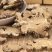 川穹川穹片薄片选货四川无硫新货净货批发零售中药材