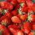 精品草莓：果园直销：视频看货(现货)