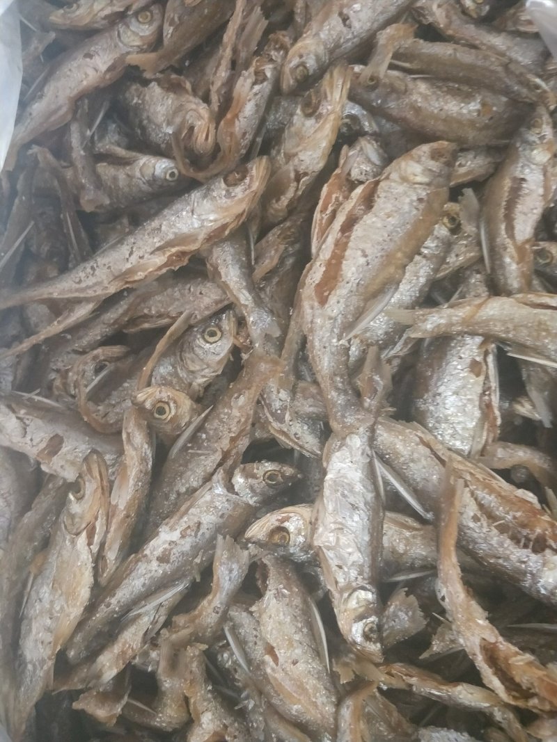 供应各种鱼仔鱼干冰新等价钱商