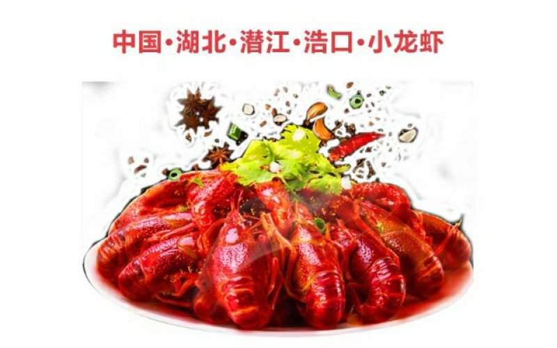 湖北潜江浩口镇优质稻田虾苗浅水耐高温种性适应各种地理气候