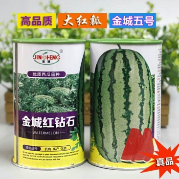 双红金城石头瓜西瓜种子高产抗旱大红沙瓤双红瓤皮薄坚韧耐贮