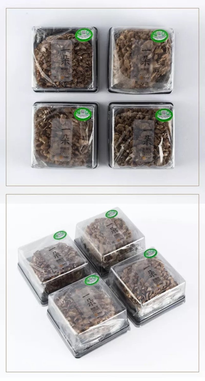 新鲜灰树花鲜舞茸栗蘑当天采摘当天发货农家种植