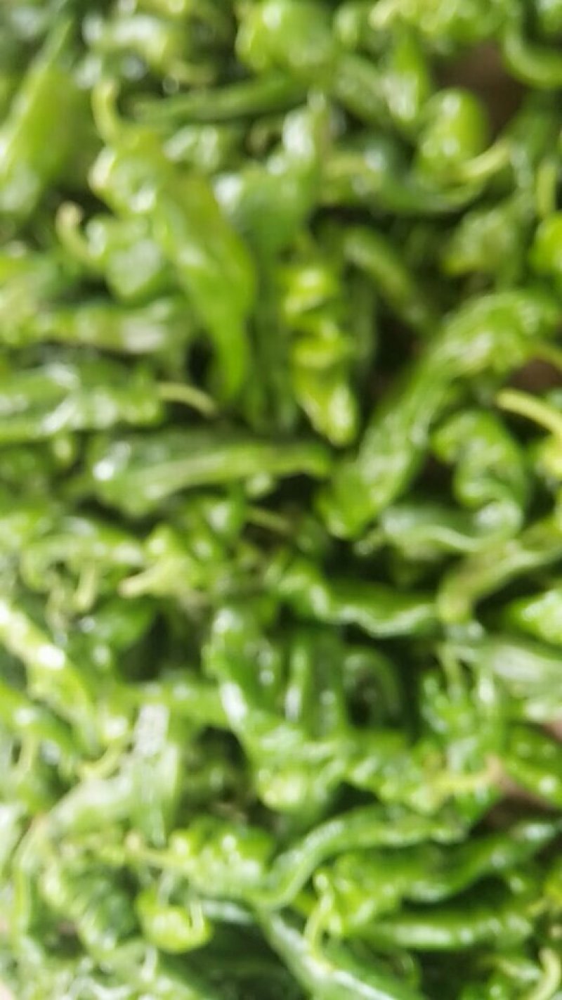 鲜辣椒