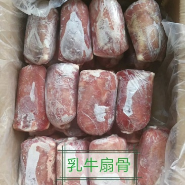 厂家直销精品乳牛扇骨牛骨头肉多质量保证证件齐全量大优惠