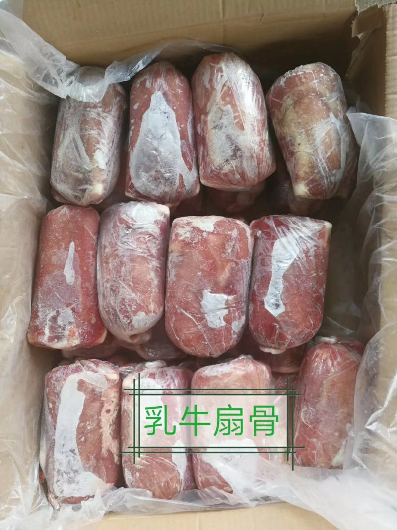 厂家直销精品乳牛扇骨牛骨头肉多质量保证证件齐全量大优惠