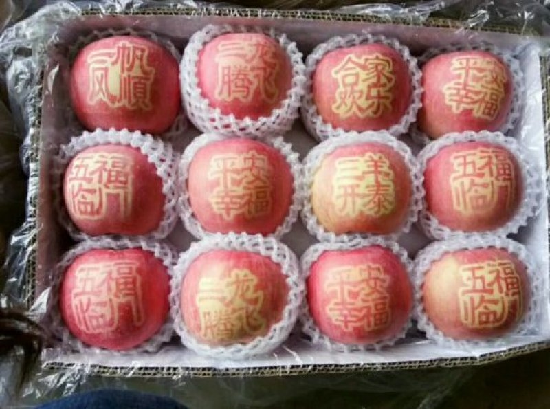 陕西采青红富士