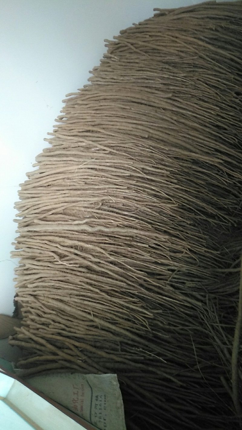 小白嘴山药