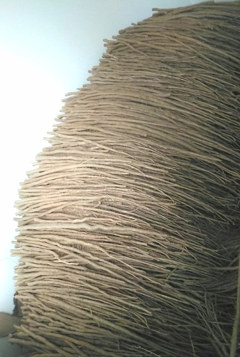 小白嘴山药