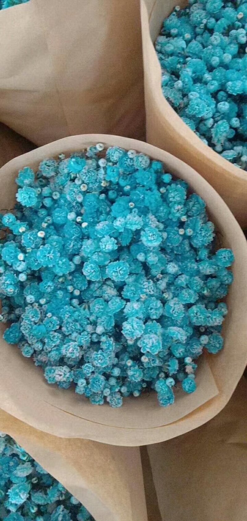 吸色千万星，颜色都品种齐全，可放时间长