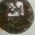 山茶
