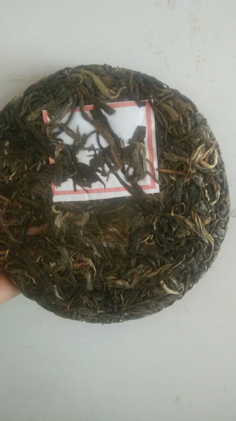 山茶