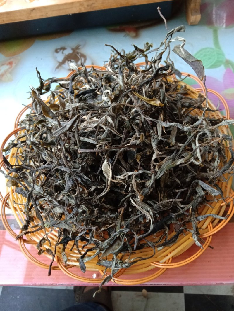 山茶