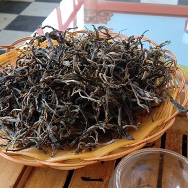 山茶