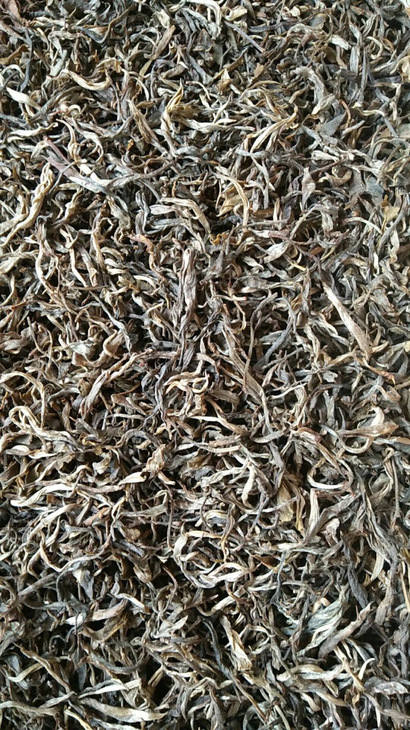 山茶