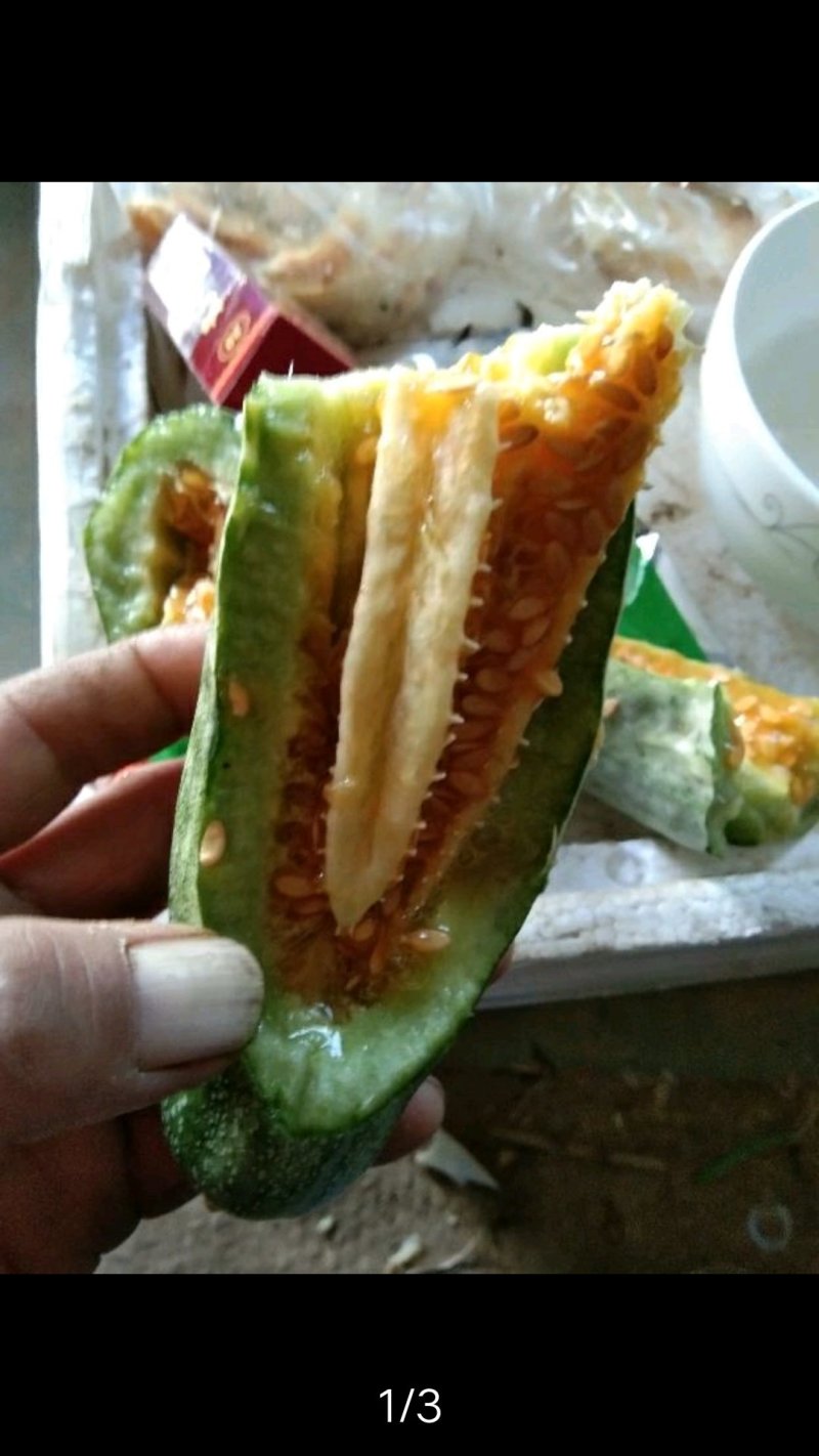 蔬菜甜瓜