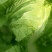 蔬菜甜瓜