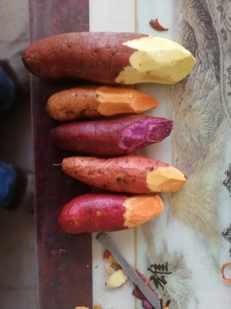 红薯苗西瓜红