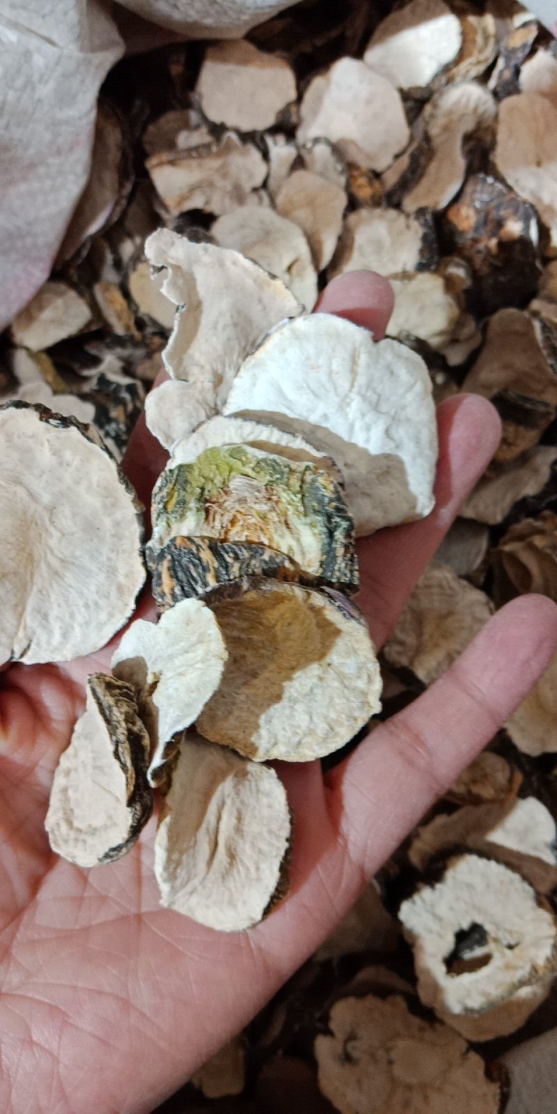 黑玛卡国产玛卡片云南丽江黑玛卡片泡酒泡水入药玛卡