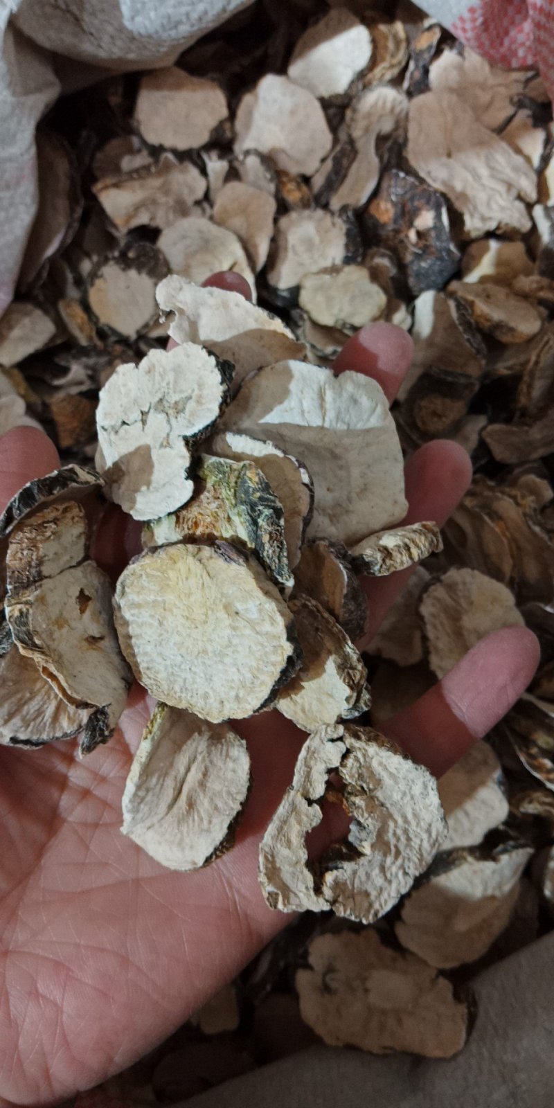 黑玛卡国产玛卡片云南丽江黑玛卡片泡酒泡水入药玛卡