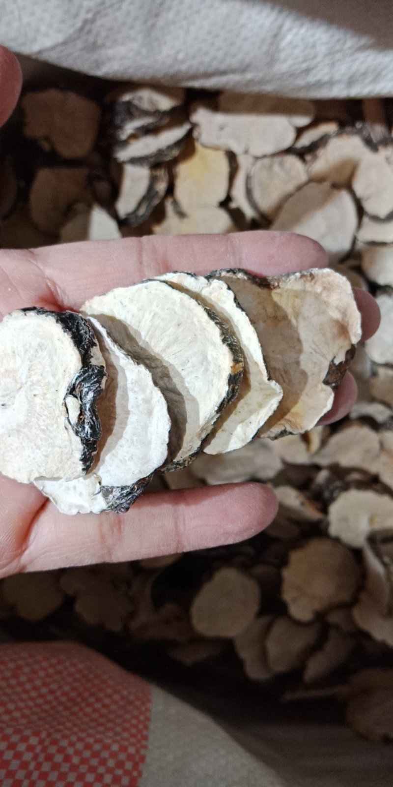黑玛卡国产玛卡片云南丽江黑玛卡片泡酒泡水入药玛卡