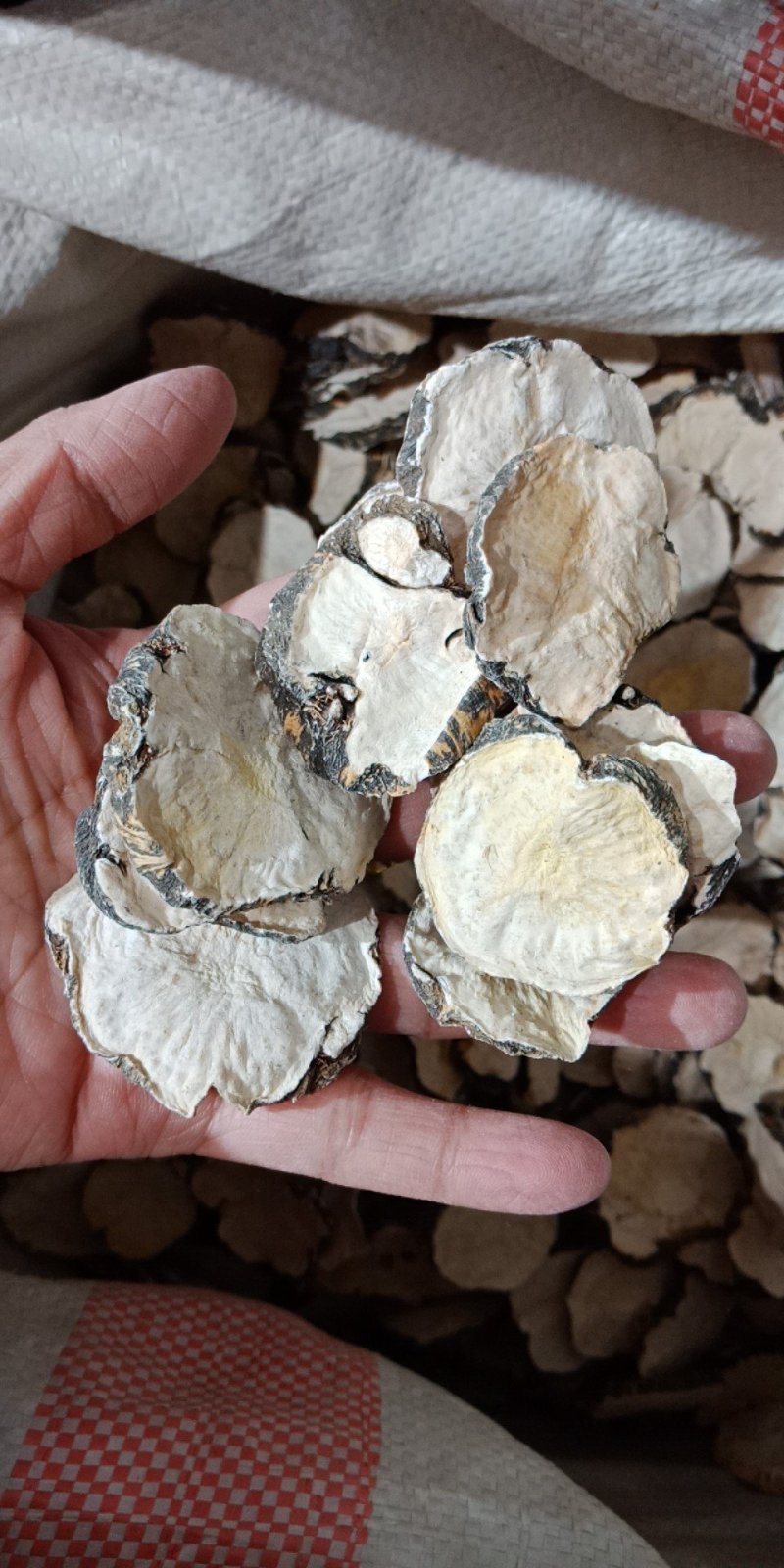 黑玛卡国产玛卡片云南丽江黑玛卡片泡酒泡水入药玛卡
