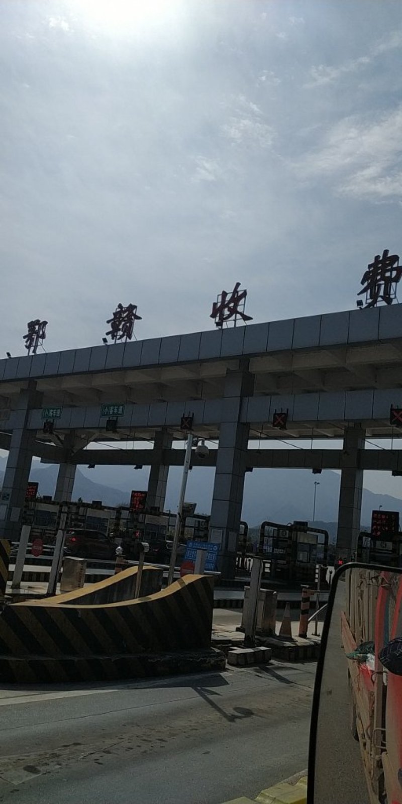 罗非鱼苗