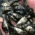 淡水鳜鱼苗(桂花鱼苗)全程提供技术指导跟进/量大从优