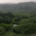 信阳毛尖远航手把茶