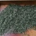 信阳毛尖远航手把茶