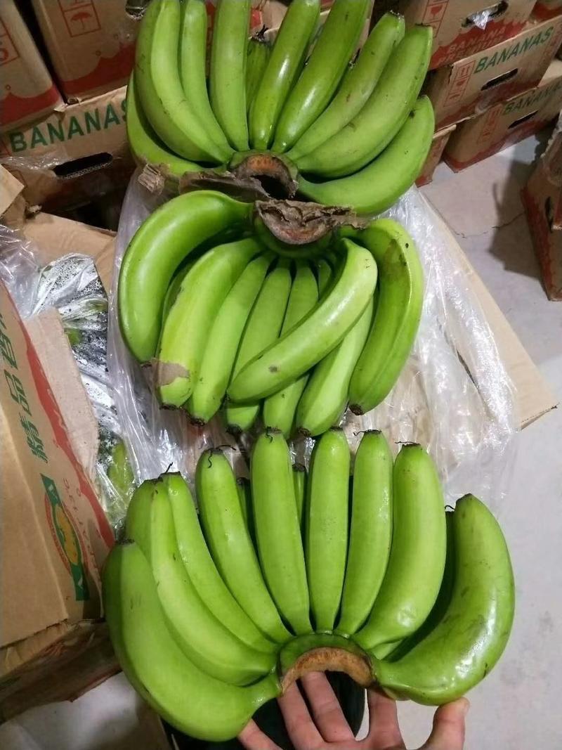 云南香蕉，广西香蕉，纯三把，各种高中低档次香蕉，产地直发