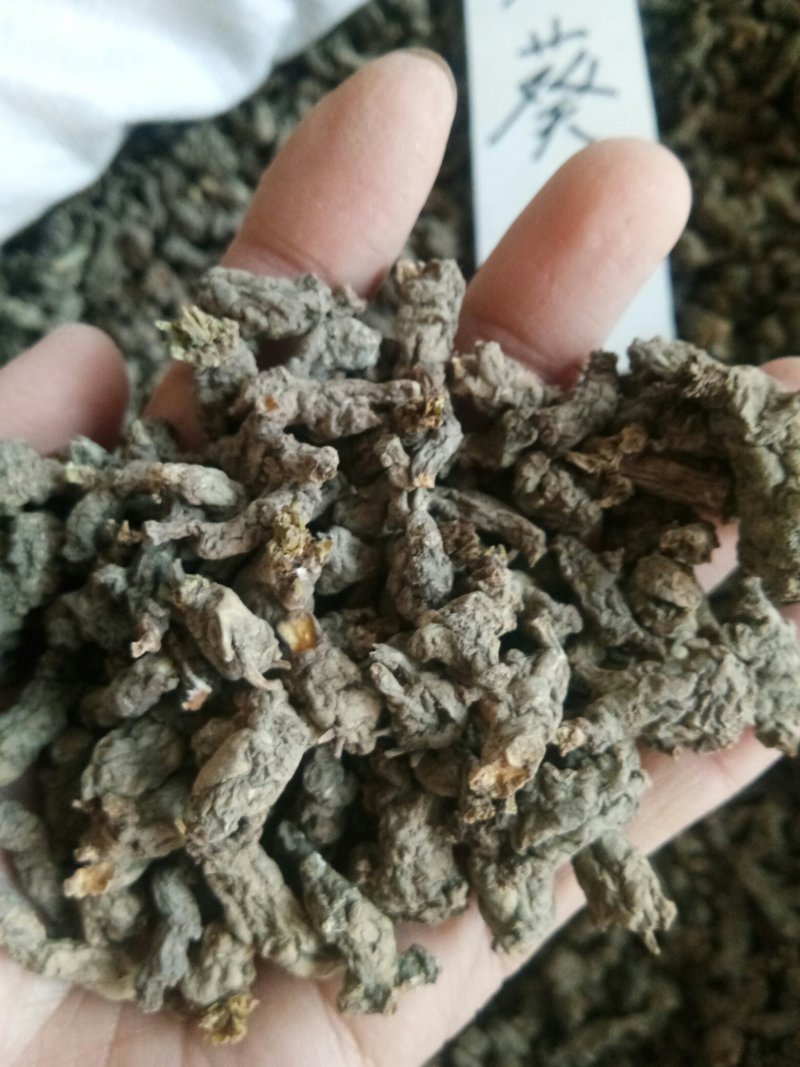 天葵子湖南正品无硫干货干净无杂一公斤起包邮