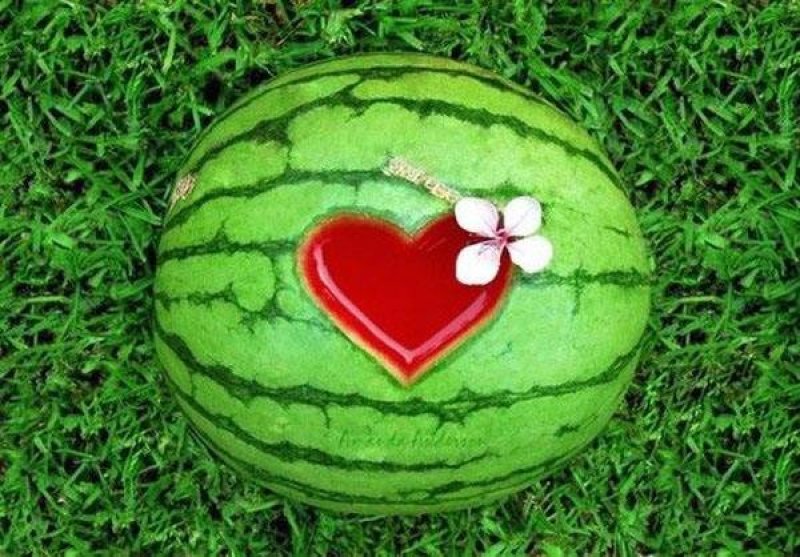 代销全国各地的各种西瓜🍉