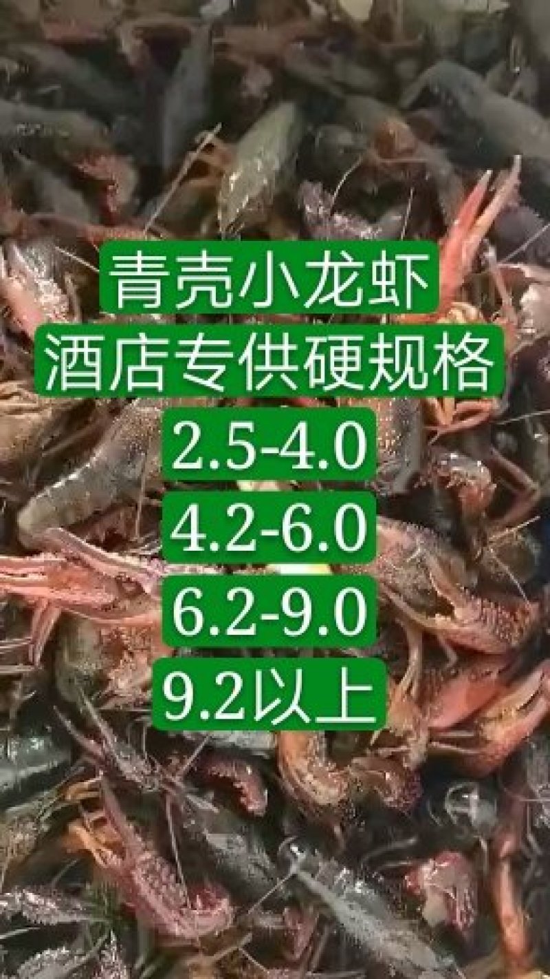 潜江优质鲜活小龙虾红虾，发货全国，提供《小龙虾检疫报告》