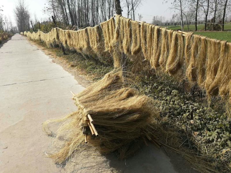 手工红薯粉
