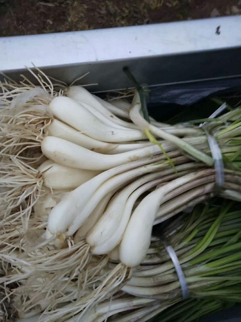 藠头降价了
