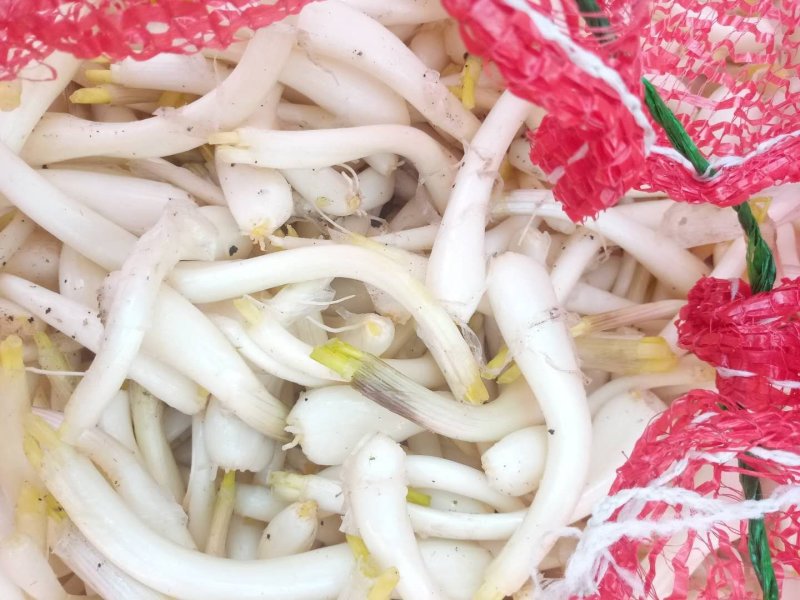 藠头降价了