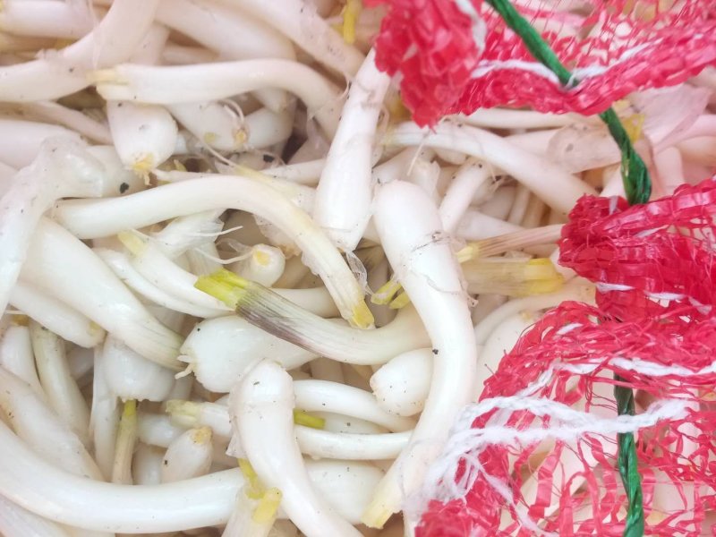 藠头降价了
