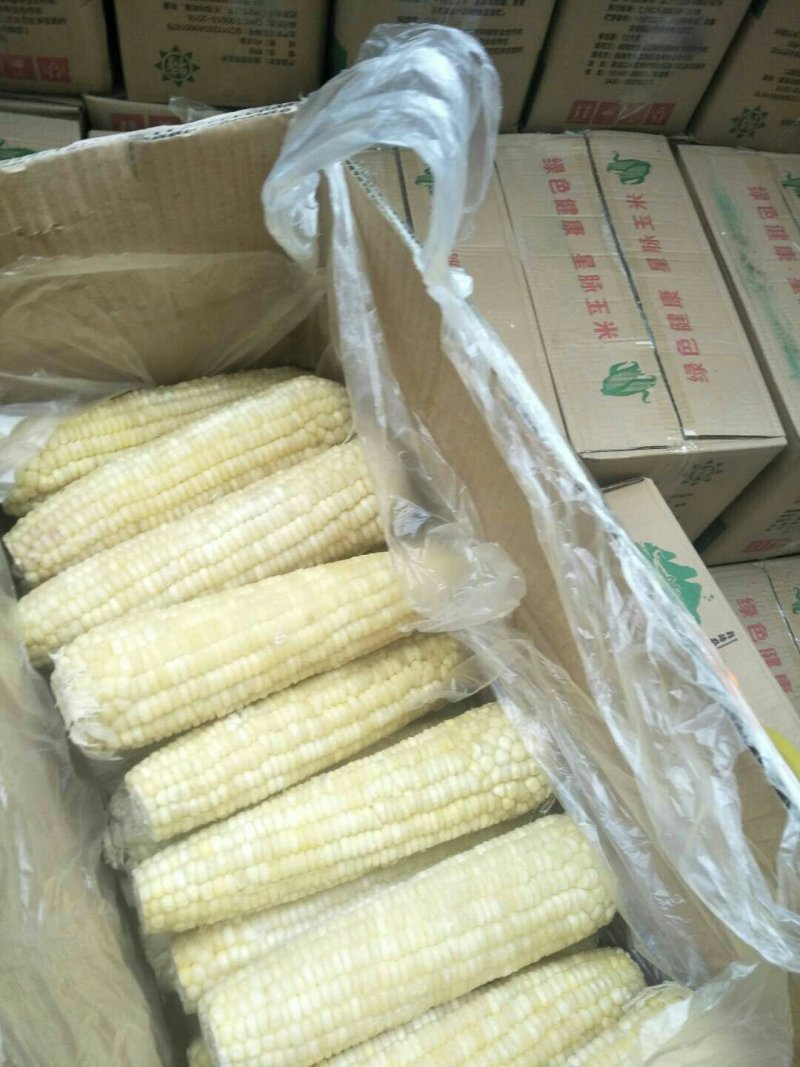 速冻水果玉米，基地种植，质量有保证！下单前请来电咨询