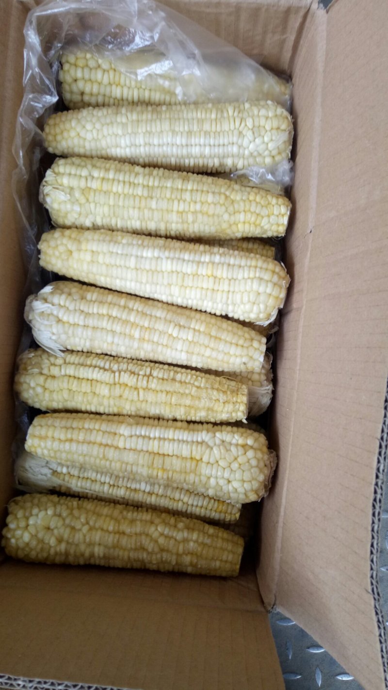 速冻水果玉米，基地种植，质量有保证！下单前请来电咨询