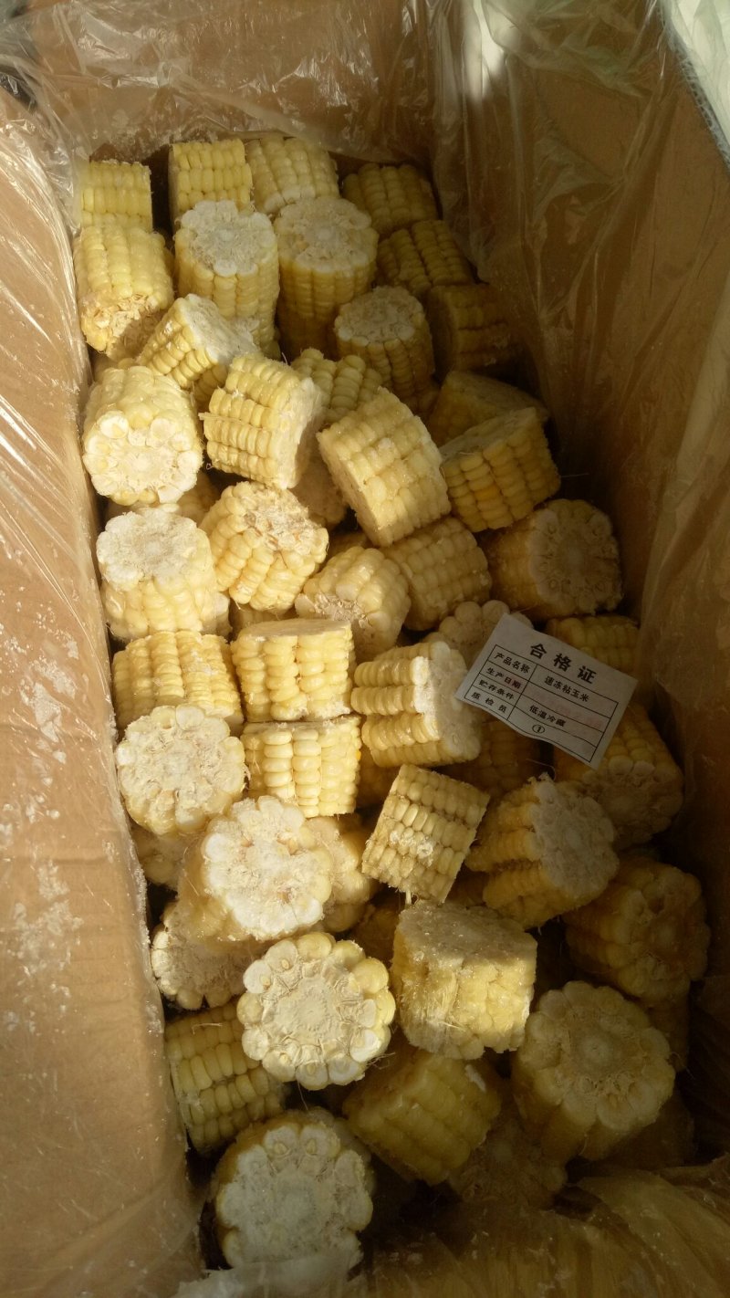 速冻水果玉米，基地种植，质量有保证！下单前请来电咨询