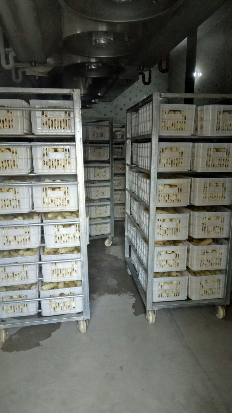 速冻水果玉米，基地种植，质量有保证！下单前请来电咨询