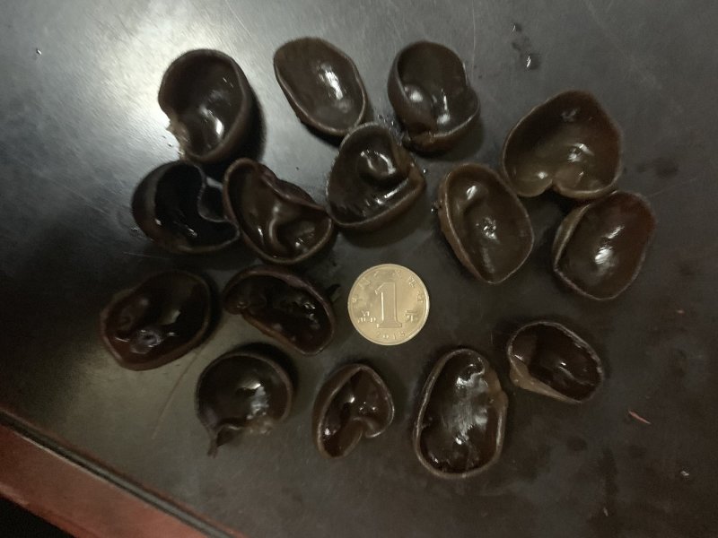 特级黑木耳秋耳小碗耳木耳