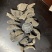 特级黑木耳秋耳小碗耳木耳