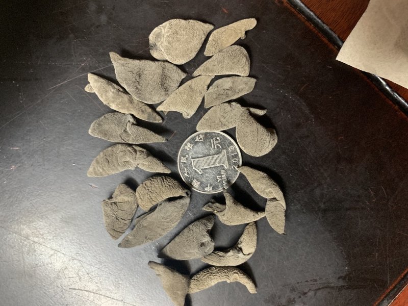 特级黑木耳秋耳小碗耳木耳