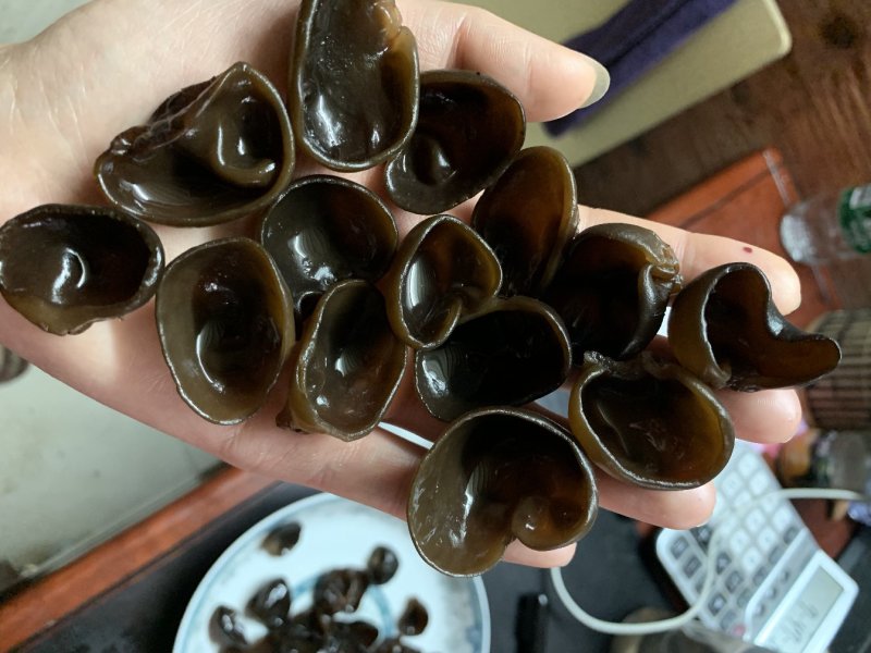 特级黑木耳秋耳小碗耳木耳