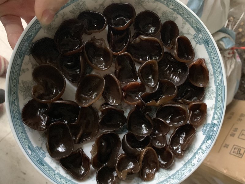 特级黑木耳秋耳小碗耳木耳
