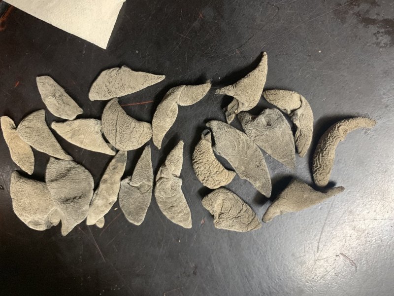 特级黑木耳秋耳小碗耳木耳