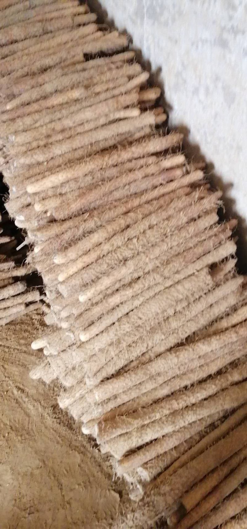 麻山药棒山药河北山药棒药长年有货产地直供