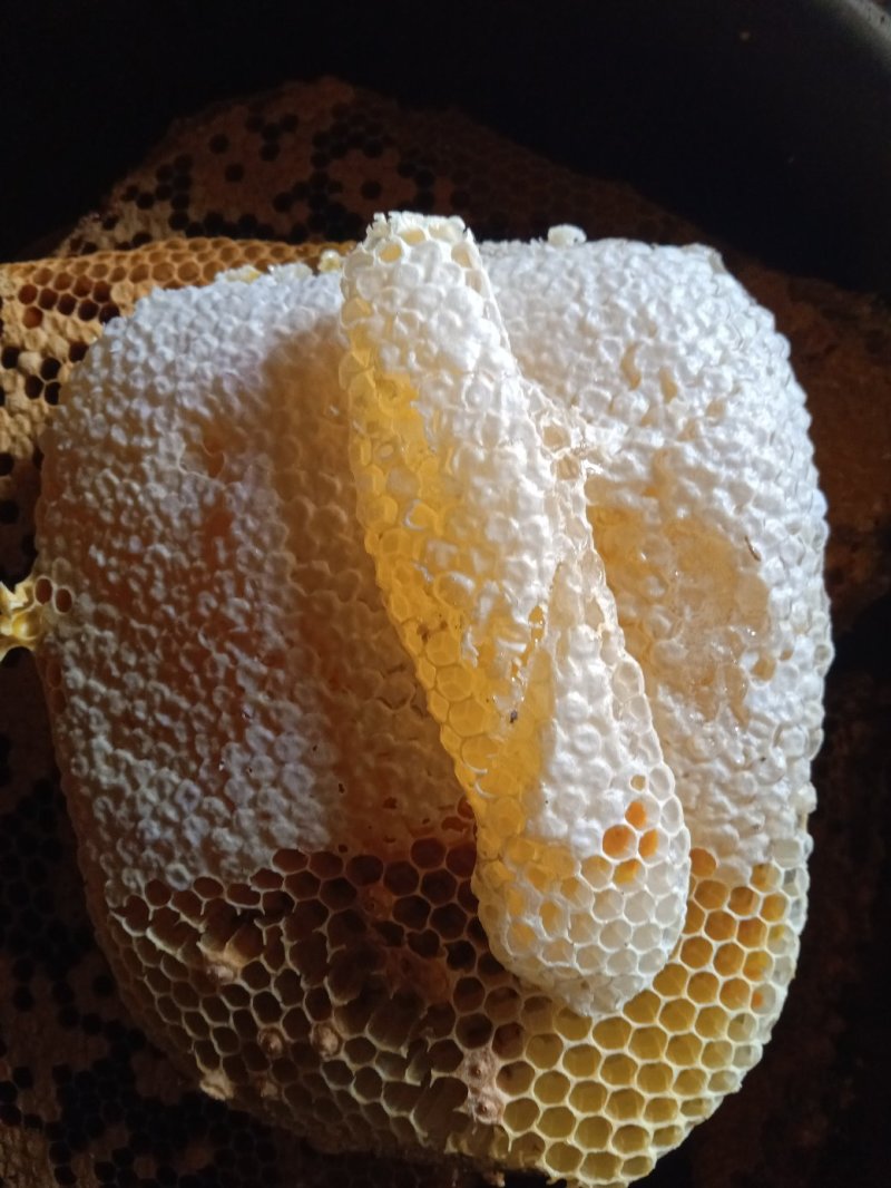 纯土蜂蜜百花蜜
